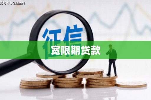 弥渡宽限期贷款