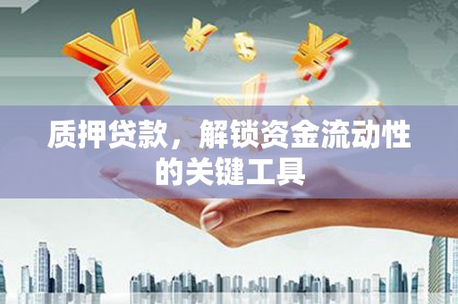 弥渡质押贷款，解锁资金流动性的关键工具