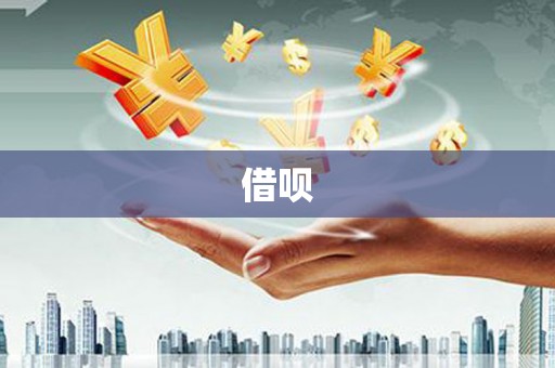 弥渡借呗