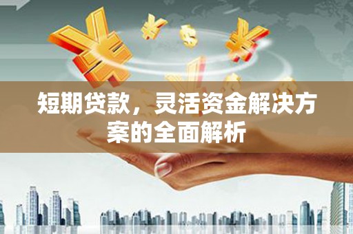 弥渡短期贷款，灵活资金解决方案的全面解析