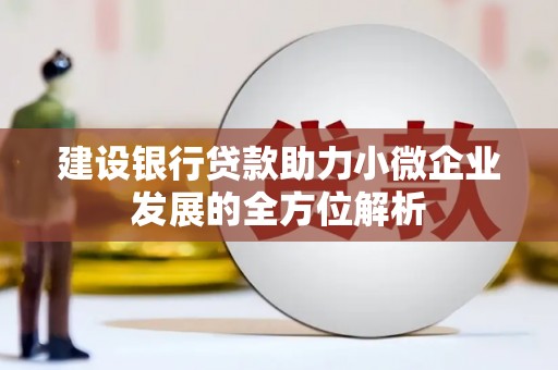 弥渡建设银行贷款助力小微企业发展的全方位解析