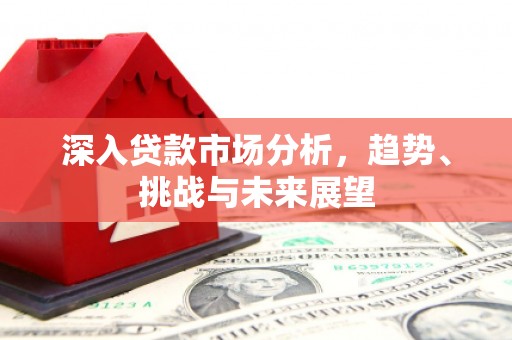 弥渡深入贷款市场分析，趋势、挑战与未来展望