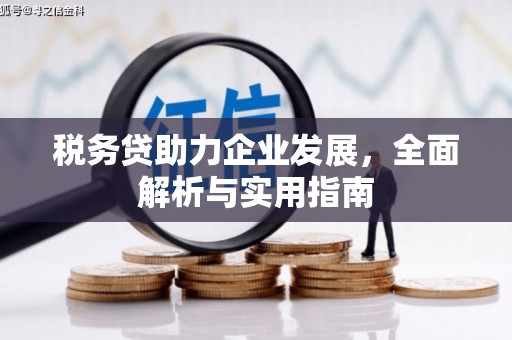 弥渡税务贷助力企业发展，全面解析与实用指南