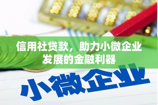 弥渡信用社贷款，助力小微企业发展的金融利器