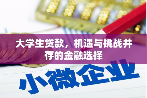 弥渡大学生贷款，机遇与挑战并存的金融选择