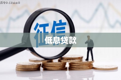 弥渡低息贷款