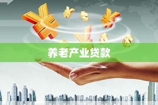 弥渡养老产业贷款