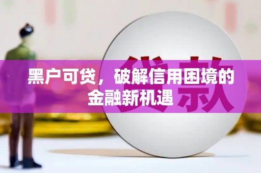 弥渡黑户可贷，破解信用困境的金融新机遇