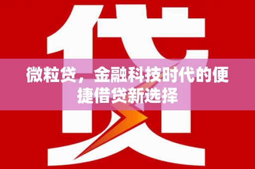 弥渡微粒贷，金融科技时代的便捷借贷新选择