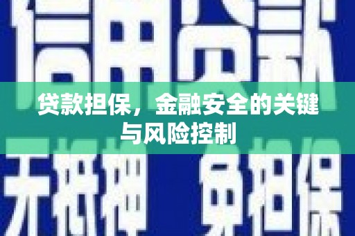 弥渡贷款担保，金融安全的关键与风险控制