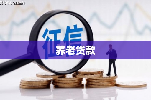 弥渡养老贷款