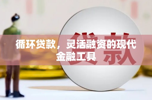 弥渡循环贷款，灵活融资的现代金融工具