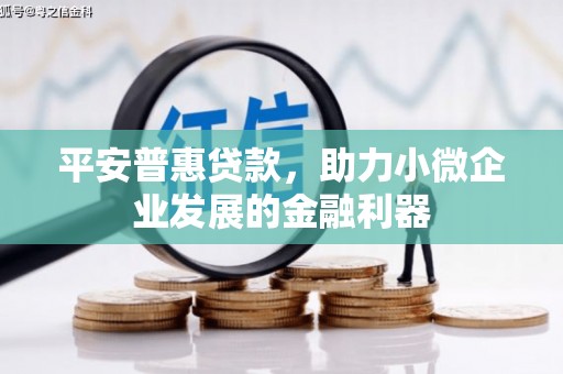 弥渡平安普惠贷款，助力小微企业发展的金融利器