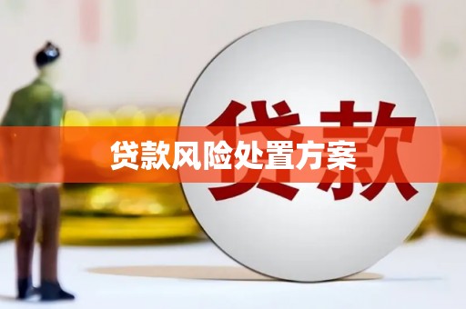 弥渡贷款风险处置方案